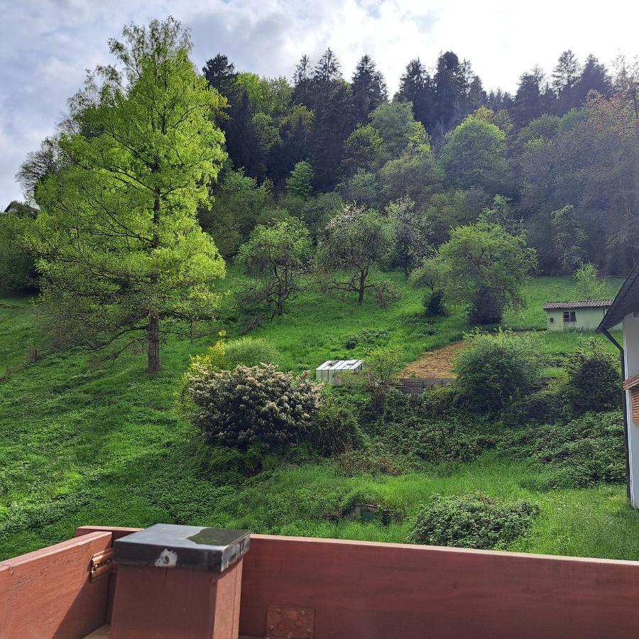 Wohn-Eitel Sonnenblick Apartment Bad Wildbad Luaran gambar